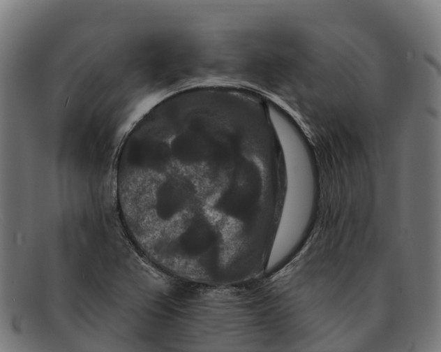 X0000091671367200709131521