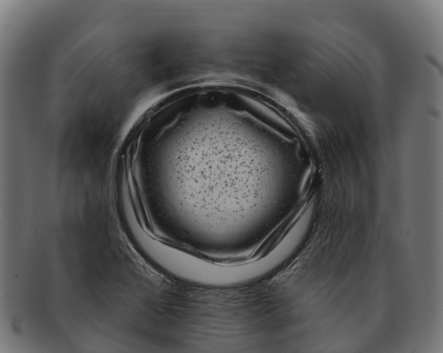 X0000091671368200709131520