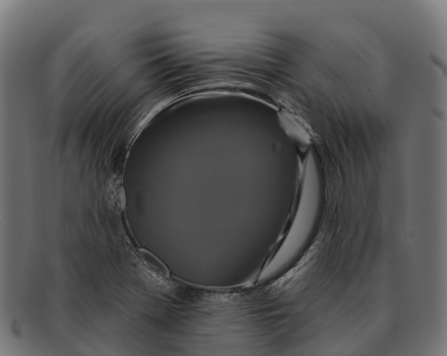 X0000091671369200709131520