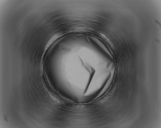 X0000091671370200709131520