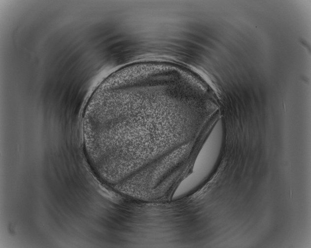 X0000091671371200709131520