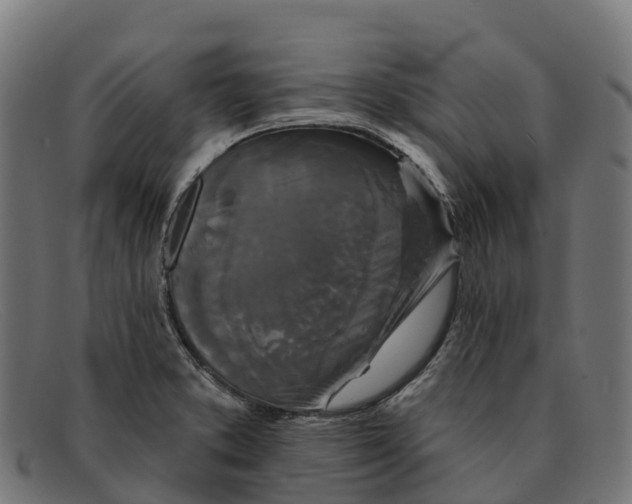 X0000091671373200709131520