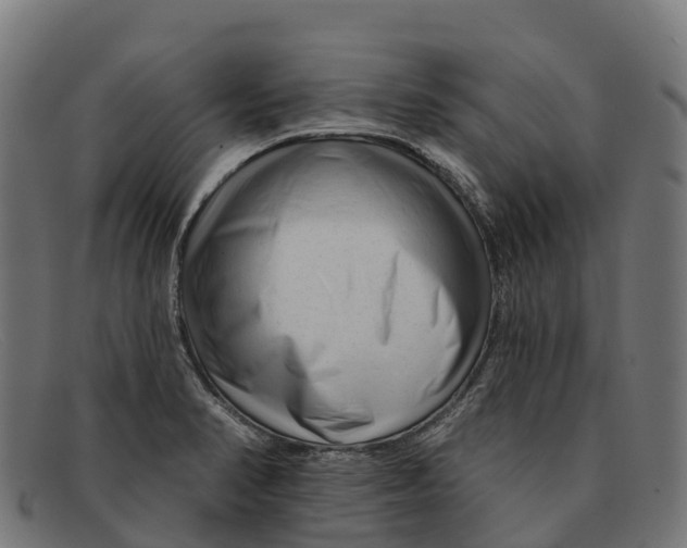 X0000091671374200709131520