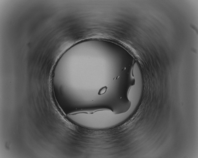 X0000091671375200709131520