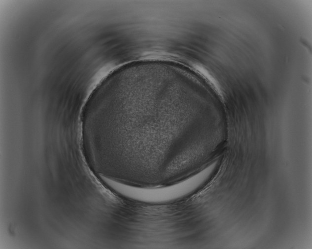 X0000091671376200709131520