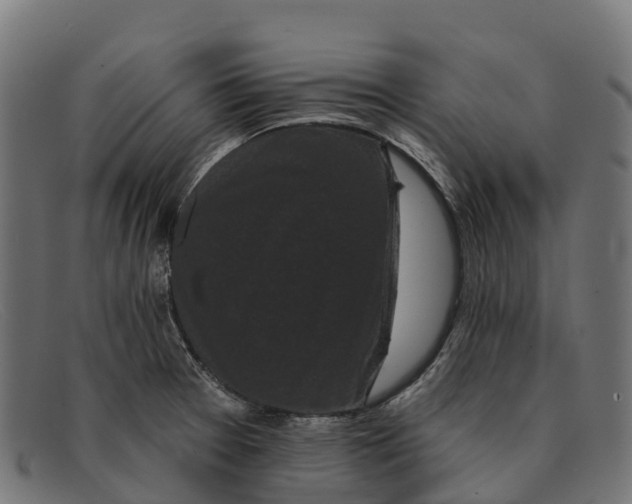 X0000091671377200709131520