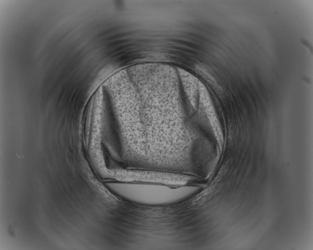 X0000091671378200709131520