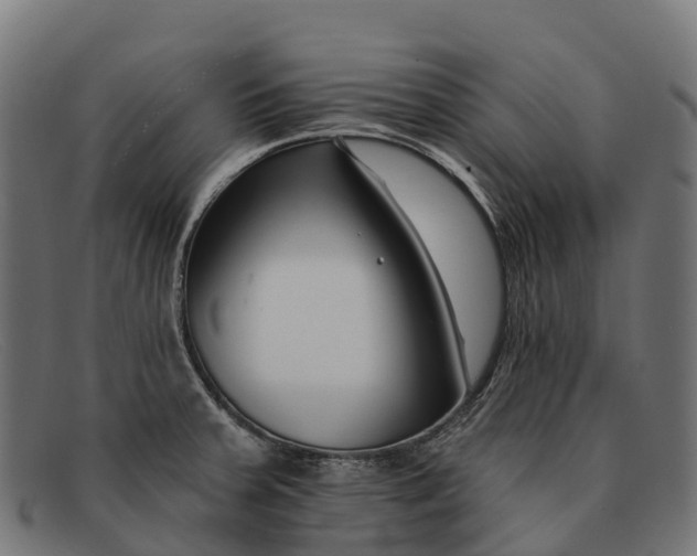 X0000091671379200709131520