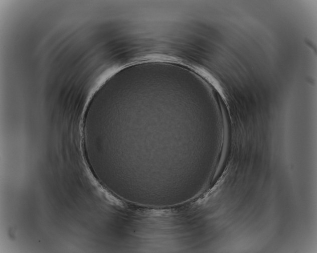 X0000091671381200709131520