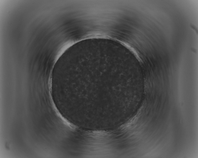 X0000091671383200709131520