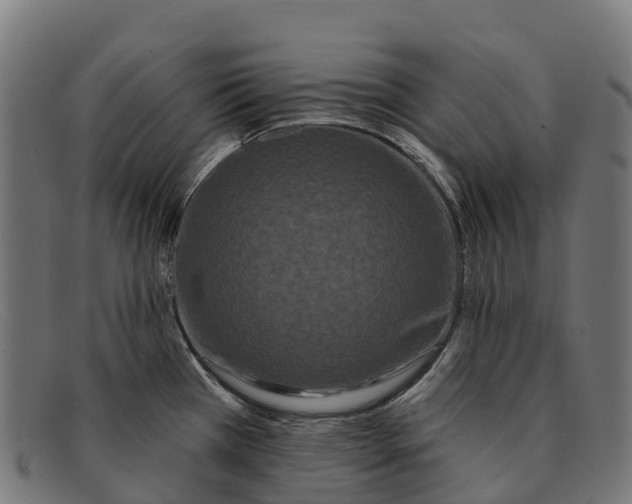 X0000091671385200709131520