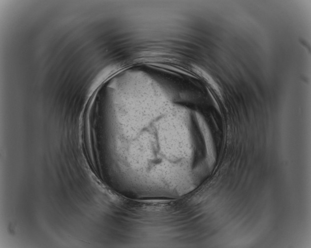 X0000091671386200709131520