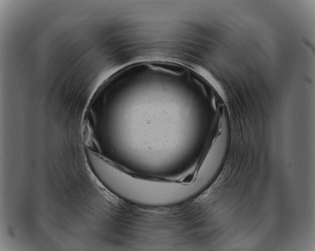 X0000091671388200709131520