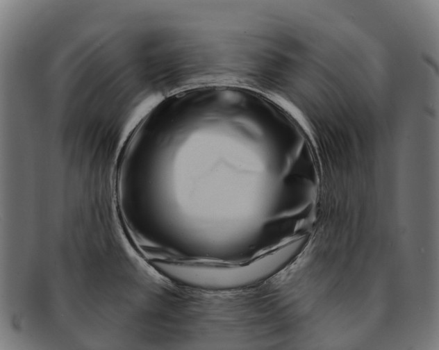 X0000091671389200709131520