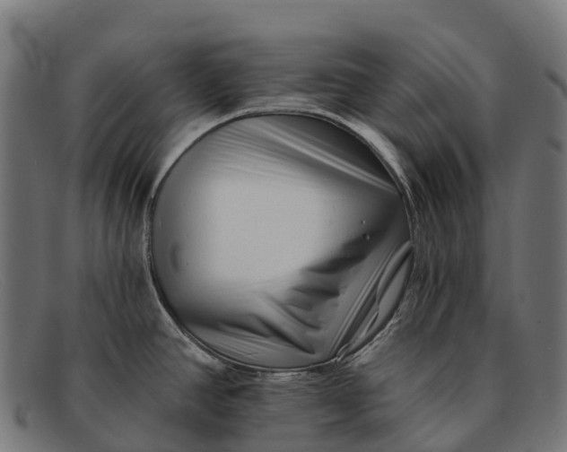 X0000091671390200709131520