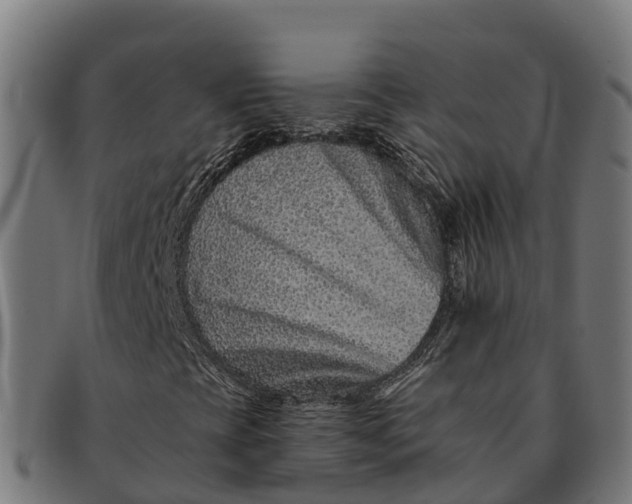 X0000091671393200709131519