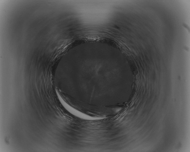 X0000091671394200709131519