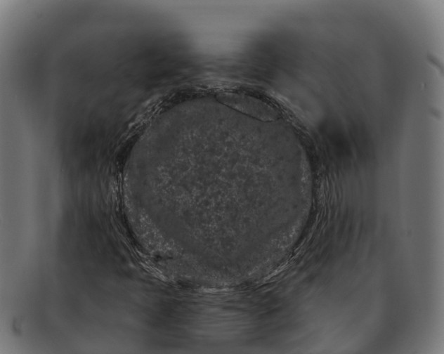 X0000091671397200709131520