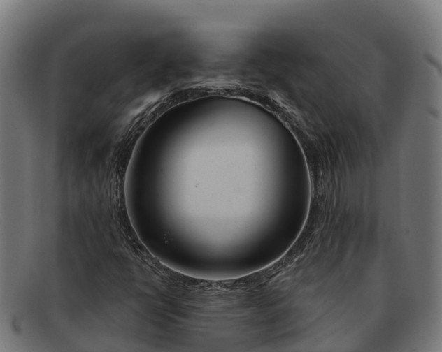 X0000091671398200709131520