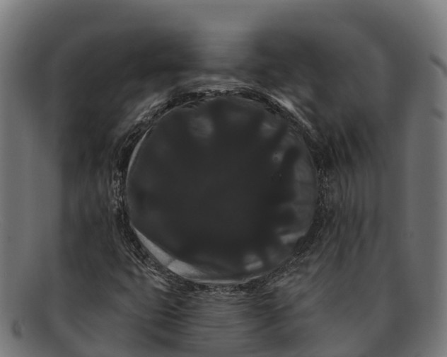 X0000091671399200709131520