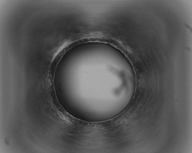 X0000091671400200709131520