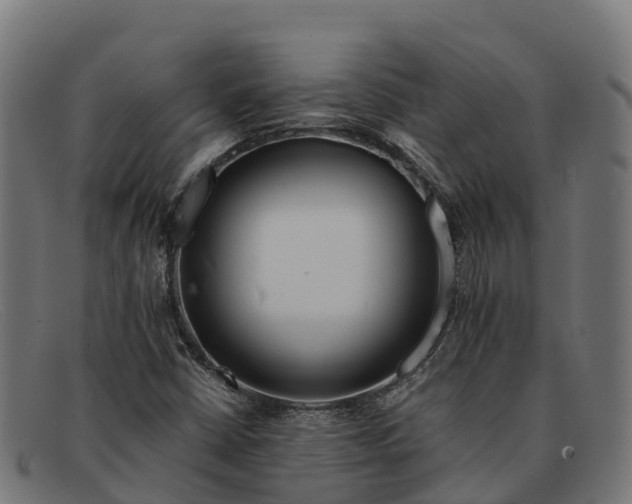 X0000091671402200709131520