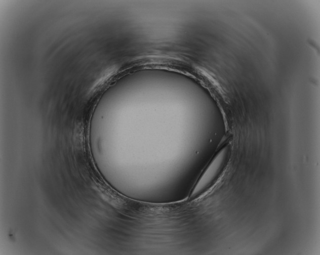 X0000091671403200709131520