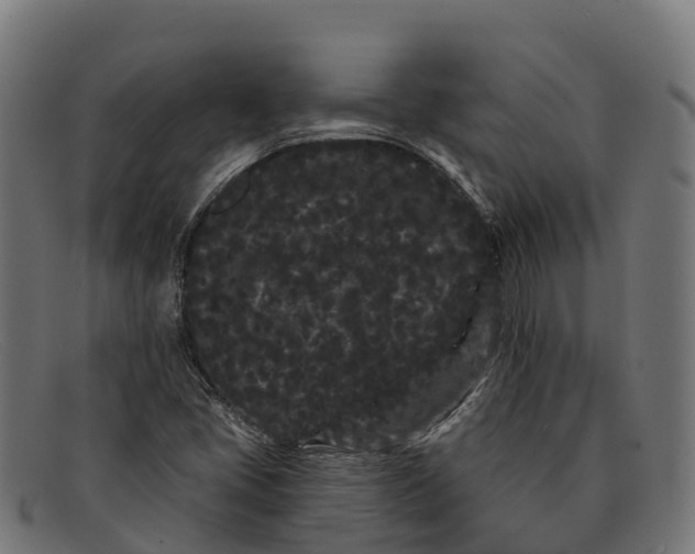 X0000091671405200709131520