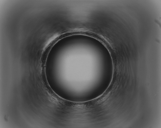 X0000091671406200709131520