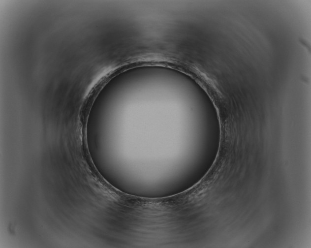 X0000091671408200709131520