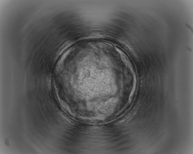 X0000091671409200709131520