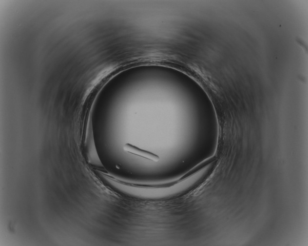 X0000091671410200709131520