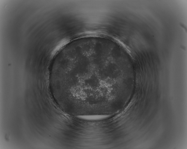 X0000091671411200709131520