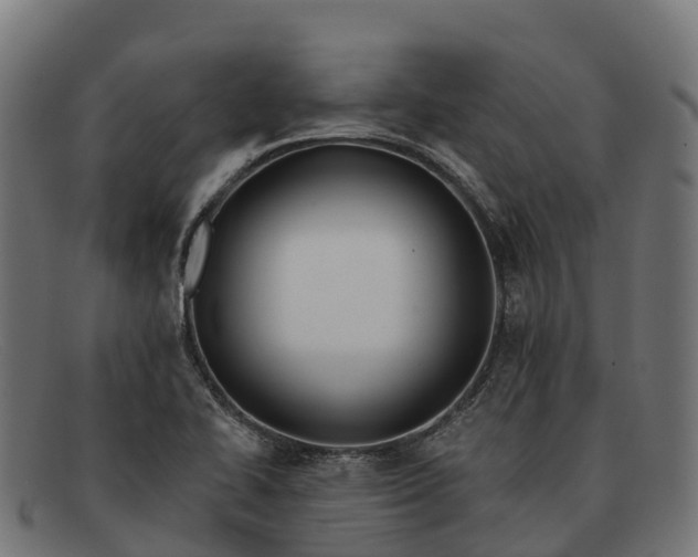 X0000091671414200709131520