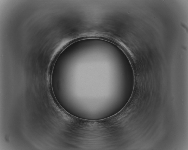 X0000091671416200709131520