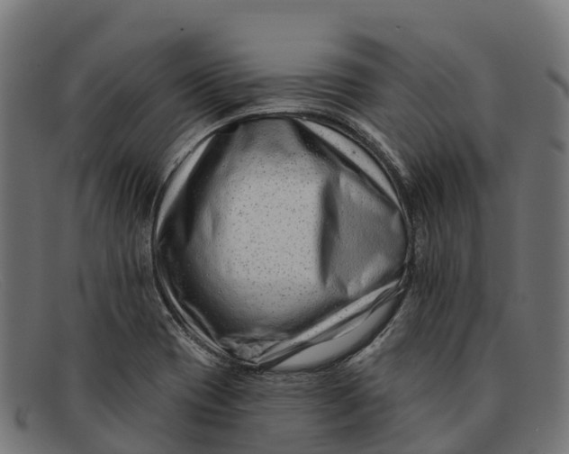 X0000091671417200709131520