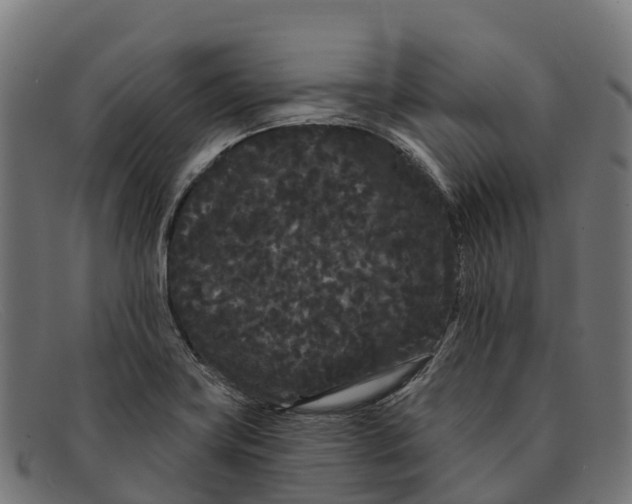 X0000091671419200709131520