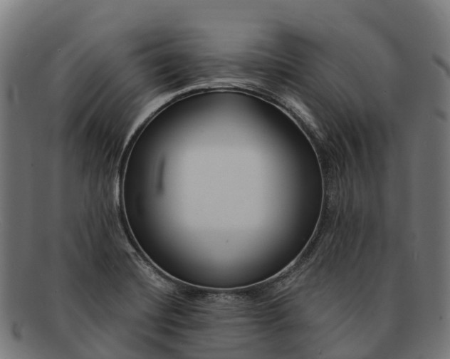 X0000091671420200709131520