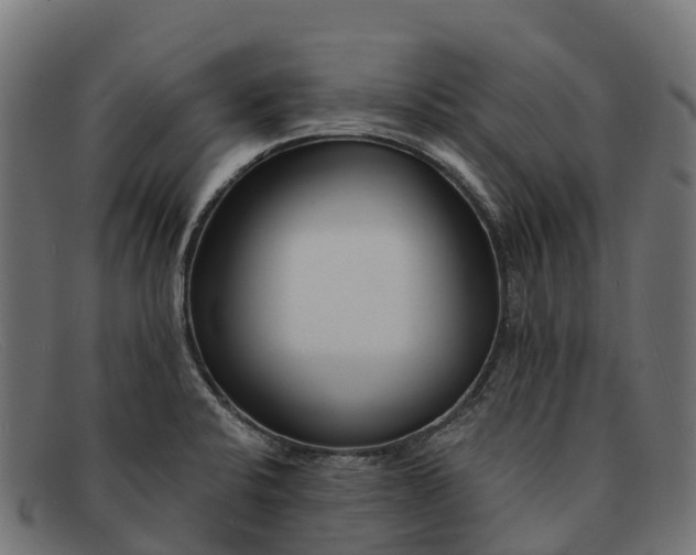 X0000091671424200709131520