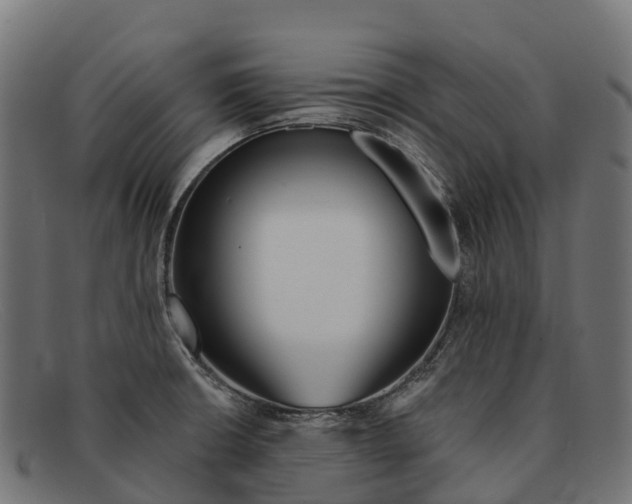 X0000091671426200709131520