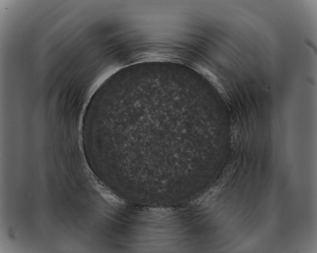 X0000091671427200709131520