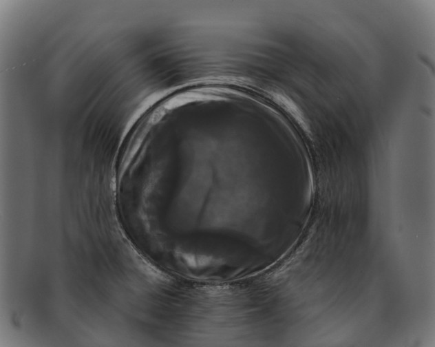 X0000091671428200709131520