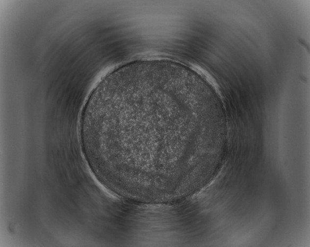 X0000091671429200709131520