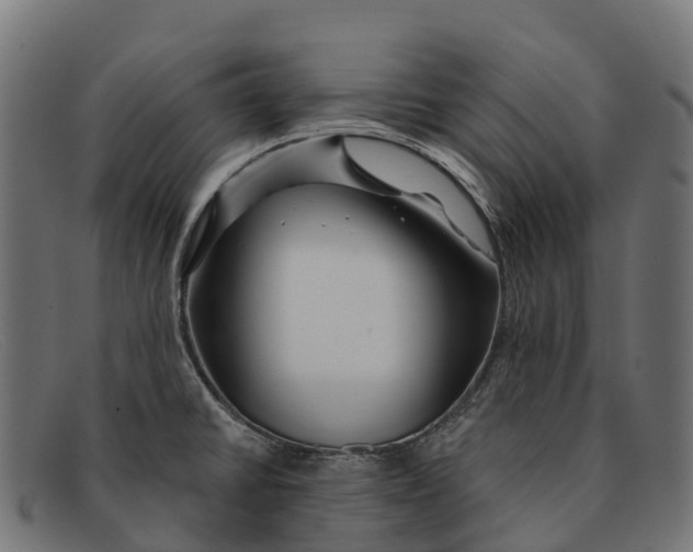 X0000091671430200709131520