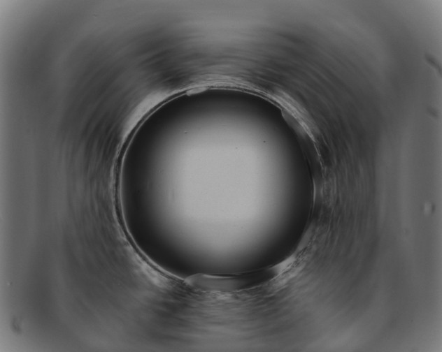 X0000091671438200709131520