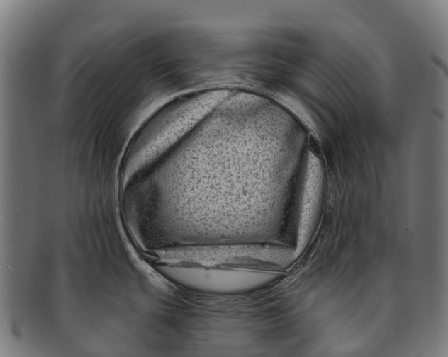 X0000091671439200709131520