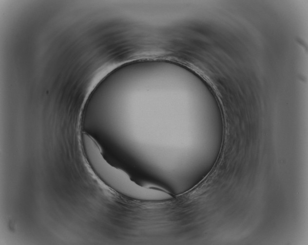 X0000091671440200709131520