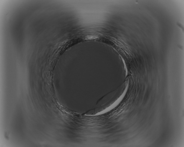 X0000091671441200709131519