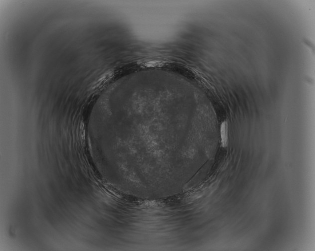 X0000091671443200709131519