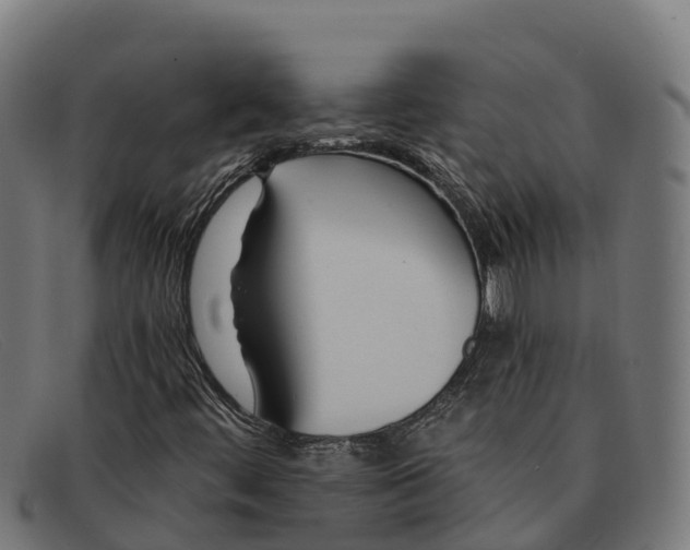 X0000091671444200709131519